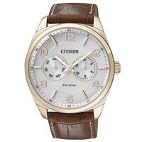 Orologio Citizen Uomo Of Action 2014 in Acciaio AO9024-16A - AO9024-16A